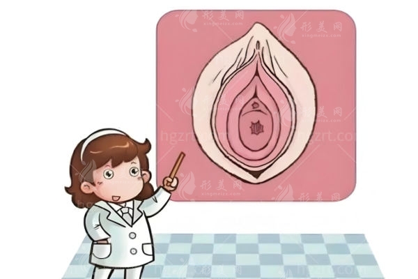 半岛热玛吉可以做私密紧缩:深度分析和盆底肌治疗仪/少女针的区别