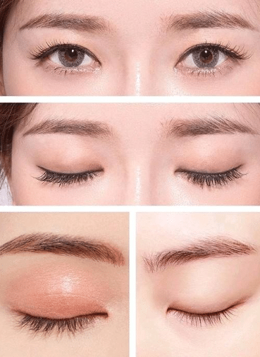 纹眉