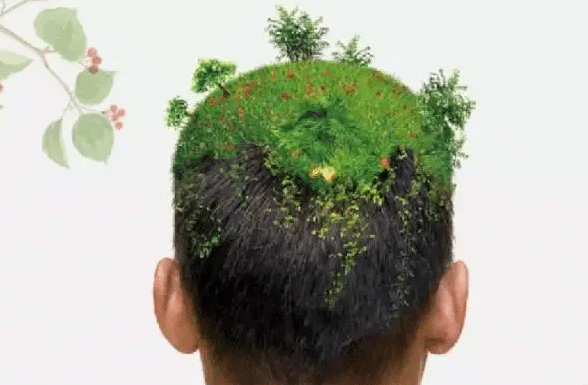 植发有没有什么危害及副作用?具体体现在哪些方面？