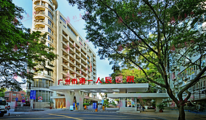 广州市第一人民医院整形外科