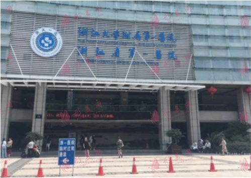浙医一院整形科