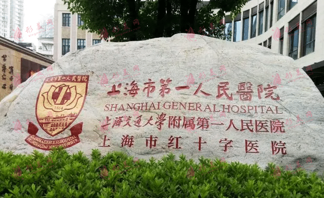 上海市第一人民医院整形外科