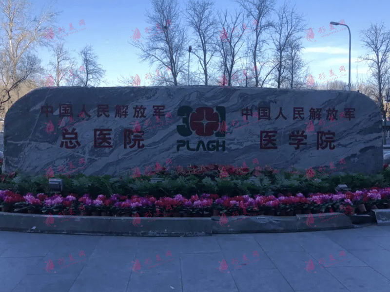北京301医院整形外科