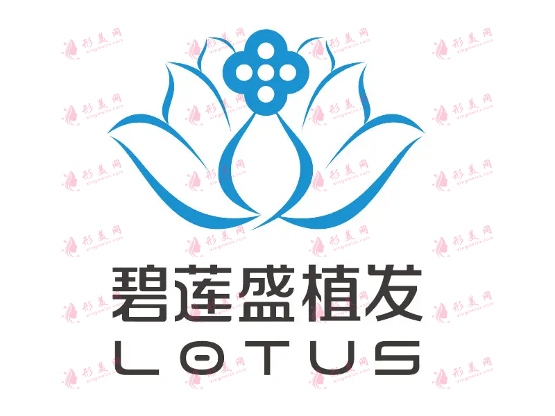 西安碧莲盛植发医院