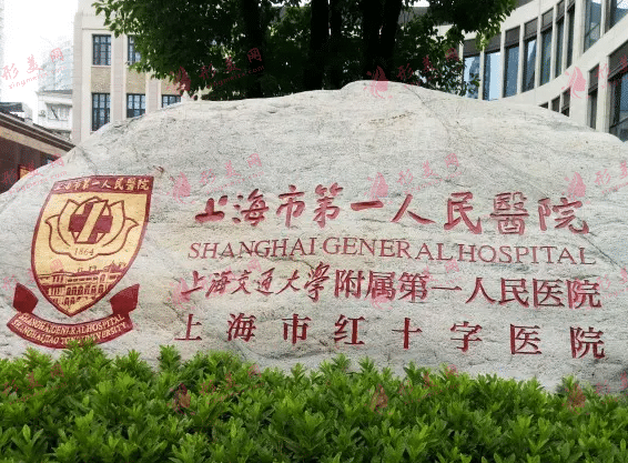上海第一医院整形外科