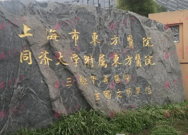 同济大学附属东方医院整形外科