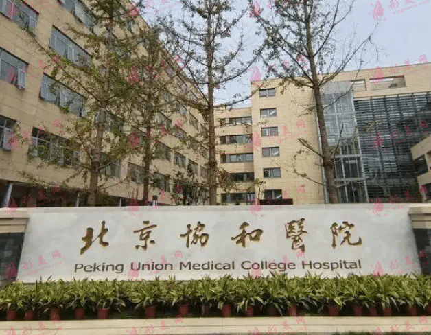 中国医学科学院北京协和医院整形外科(西院)