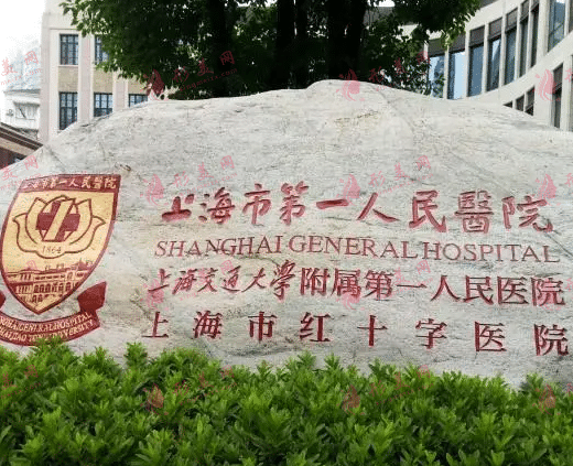 上海第一人民医院整形科