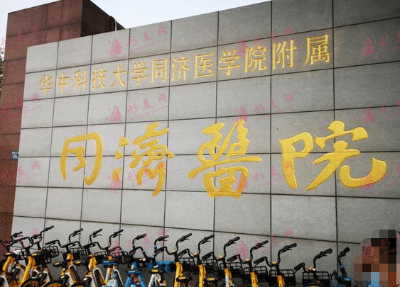 华中科技大学同济医学院附属同济医院整形外科