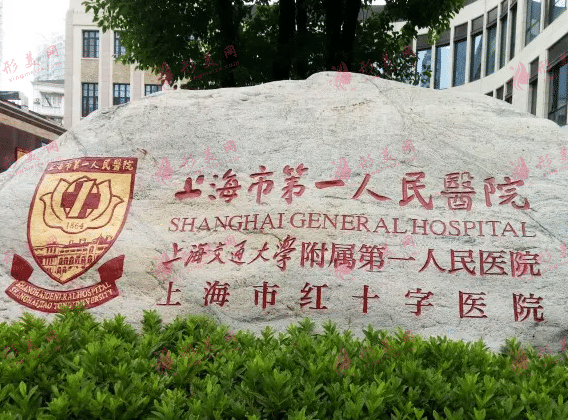 上海市第一医院整形外科
