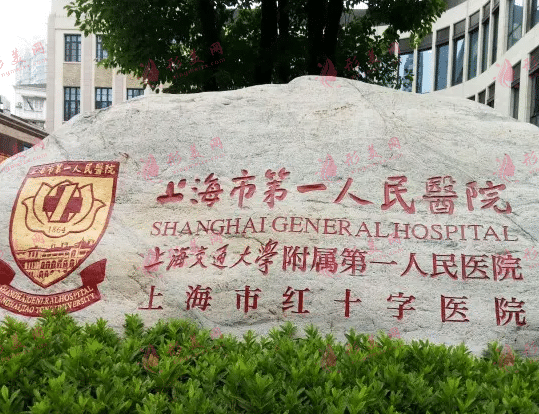 上海第一医院整形外科