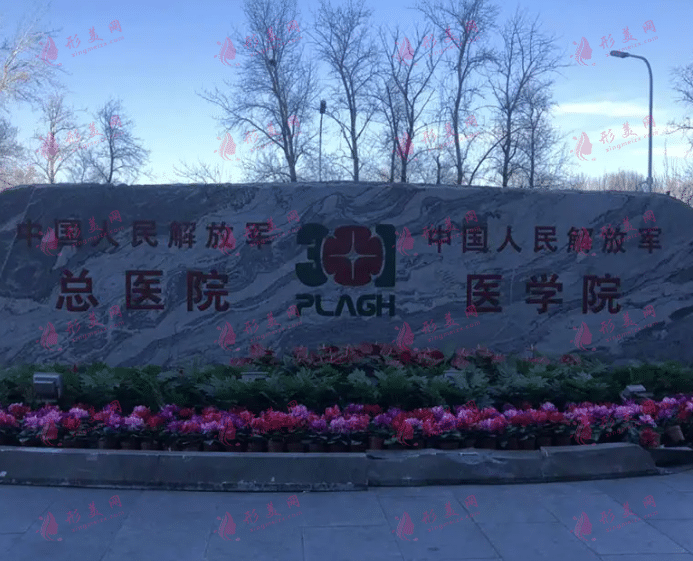 北京301医院整形外科