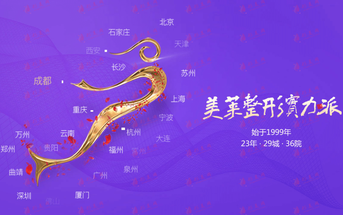 美莱医疗美容(包括华美)