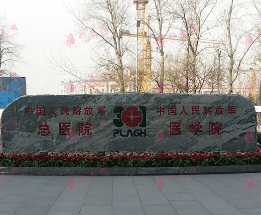 北京301医院整形科