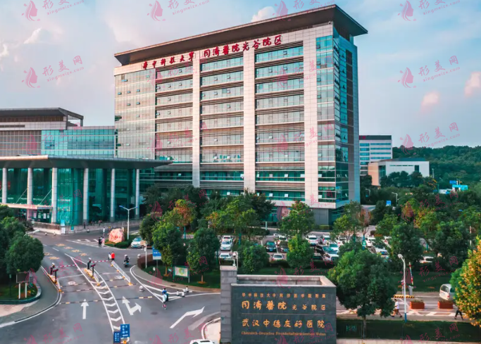 华中科技大学同济医学院附属同济医院整形外科