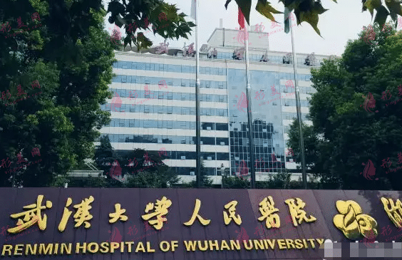 武汉大学人民医院整形外科