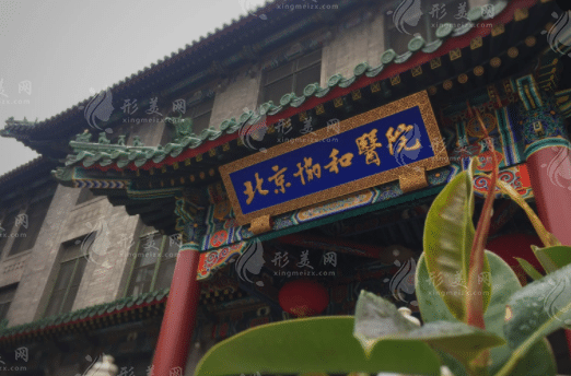 北京协和医院整形外科