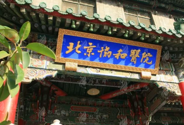 中国医学科学院北京协和医院整形科