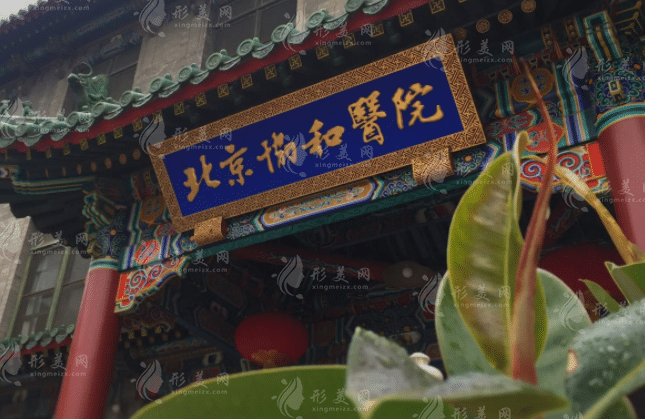中国医学科学院北京协和医院