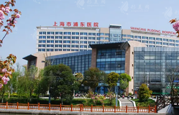 上海复旦大学附属浦东医院整形科