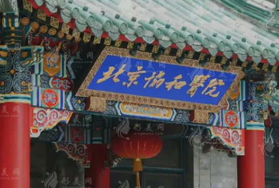 国内面部脂肪填充医生排名名单分享，哪个医生做的好？
