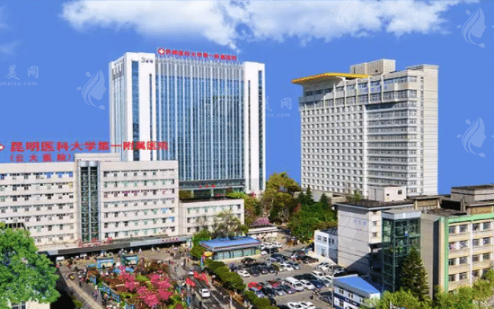 昆明医科大学第一附属医院整形外科
