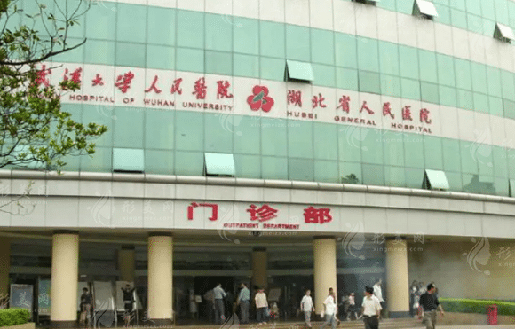 武汉大学人民医院整形美容科