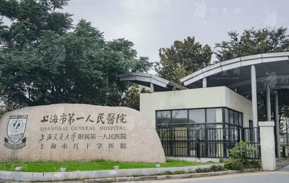 上海市第一人民医院整形外科