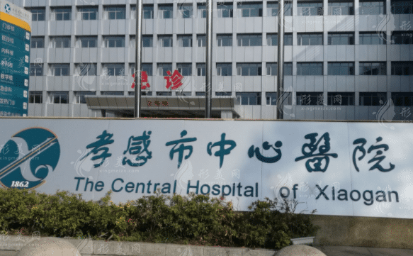 )孝感市中心医院整形外科