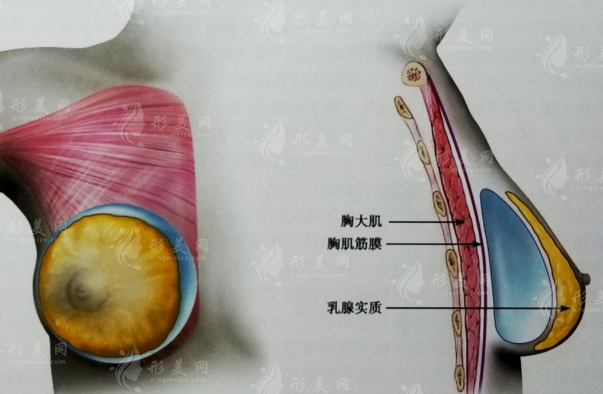 北京协和曾昂假体隆胸特色项目