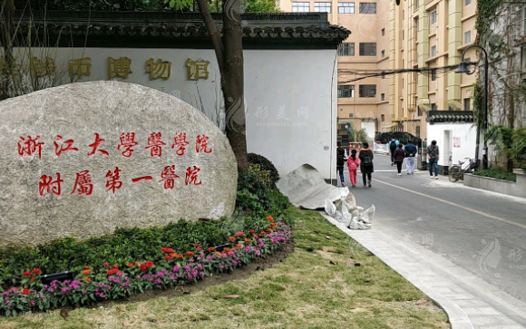 浙江大学医学院附属第一医院整形外科