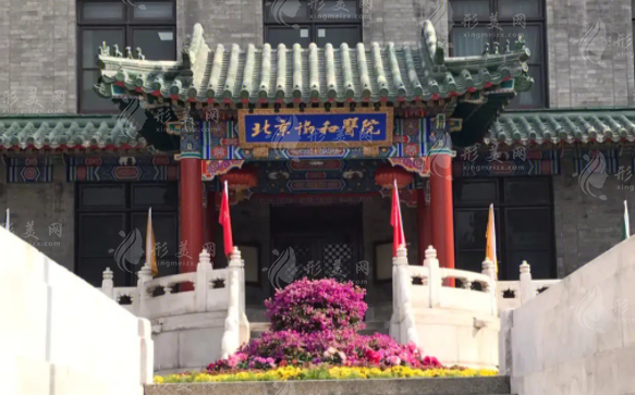 北京协和医院整形外科