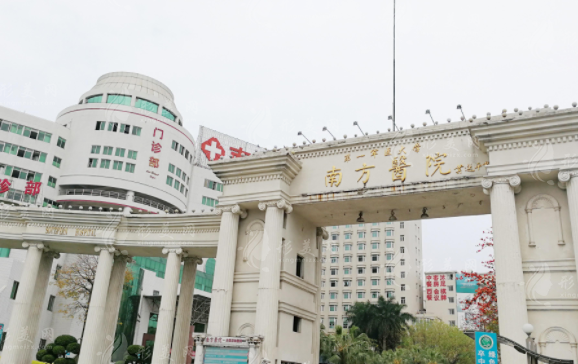 南方医科大学南方医院整形外科