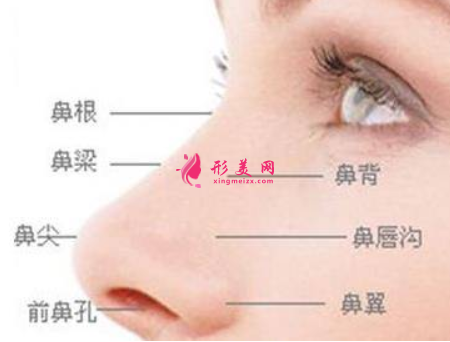 假体隆鼻后需要多长时间恢复好
